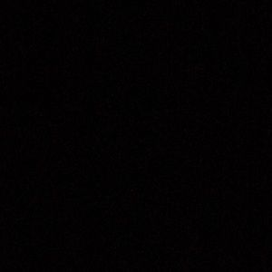 Meet your Posher, Maggie